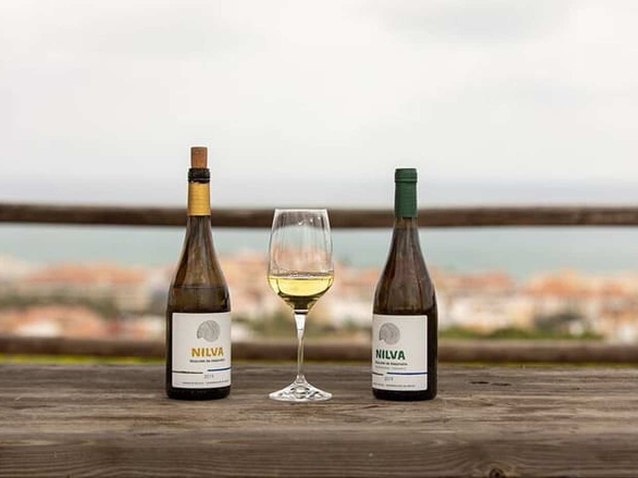 Manilva Oceanfront Wein-Erlebnis in der Gegend von Marbella, Spanien, photo 4