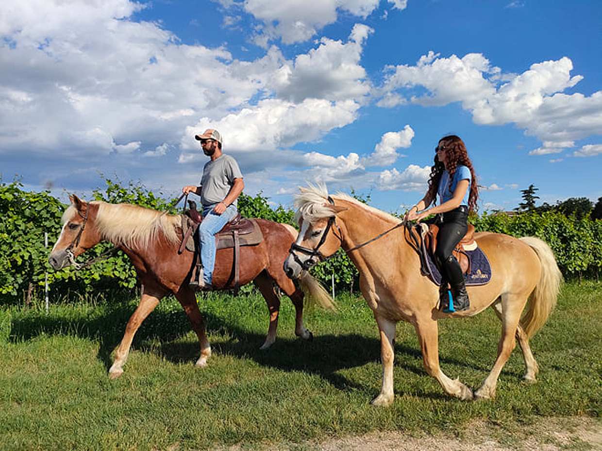 Horseback riding with Pic Nic in Lazise countryside, photo 2