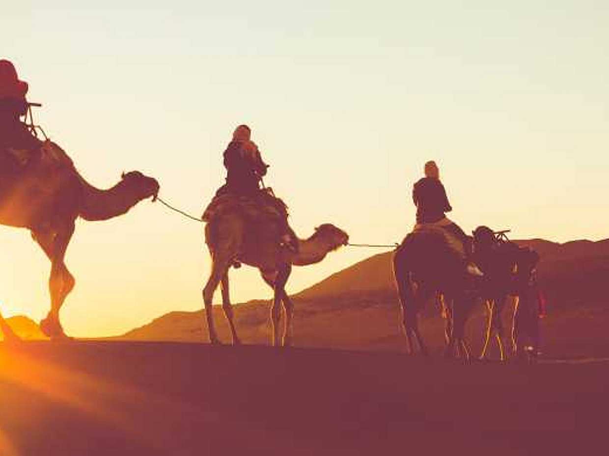 Camel Ride in Tunisia, Tozeur