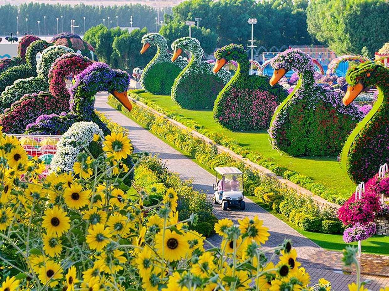 Tickets para el Jardín de los Milagros de Dubái en los Emiratos Árabes Unidos, photo 3
