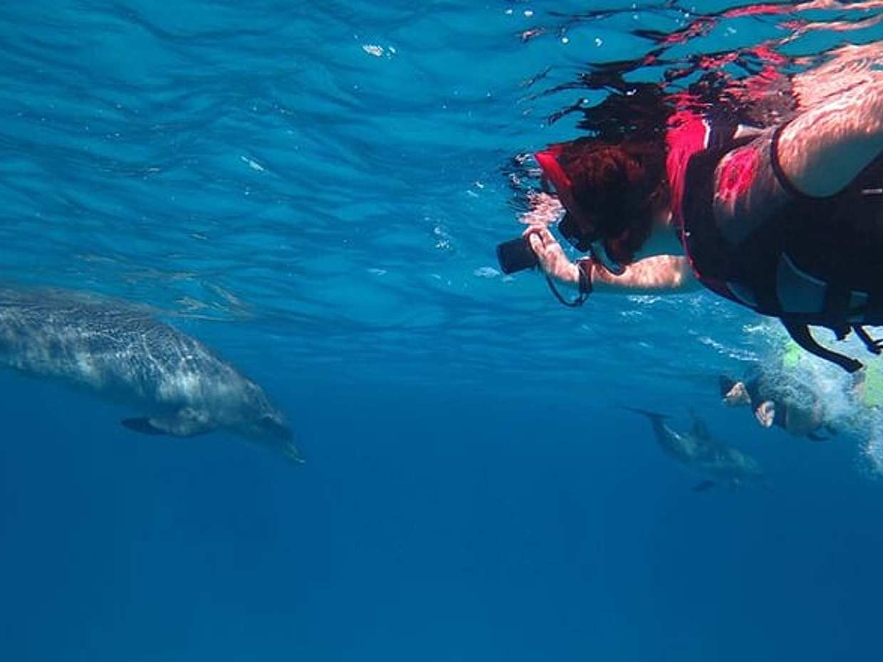 Hurghada: nadar con delfines - tour de snorkel, photo 5