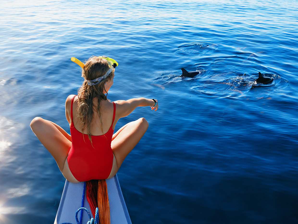 Marine Odyssey: Dolphin Watching and Snorkeling Adventure in Oman, Muscat, photo 2