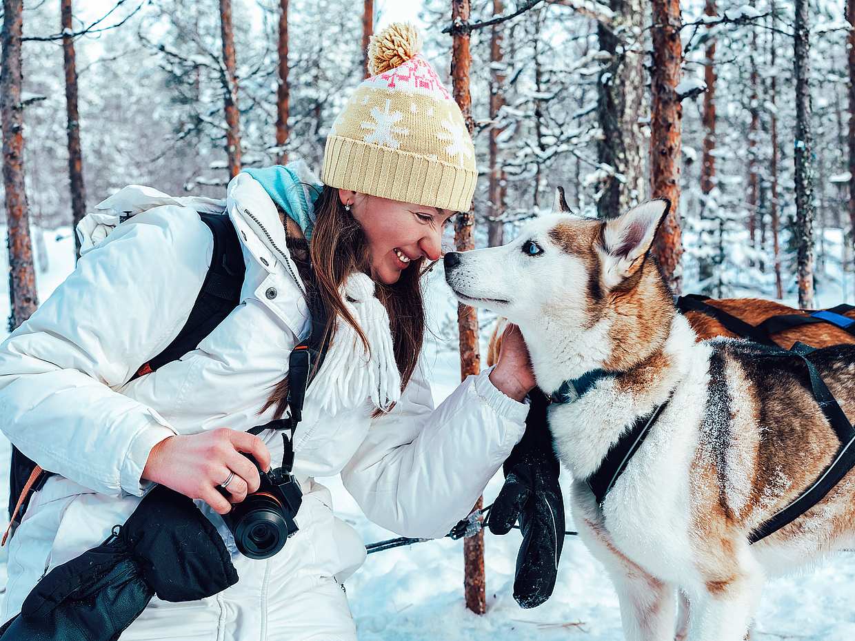 30-minute Husky Safari and Farm Visit in Finland, Pyhäjärvi