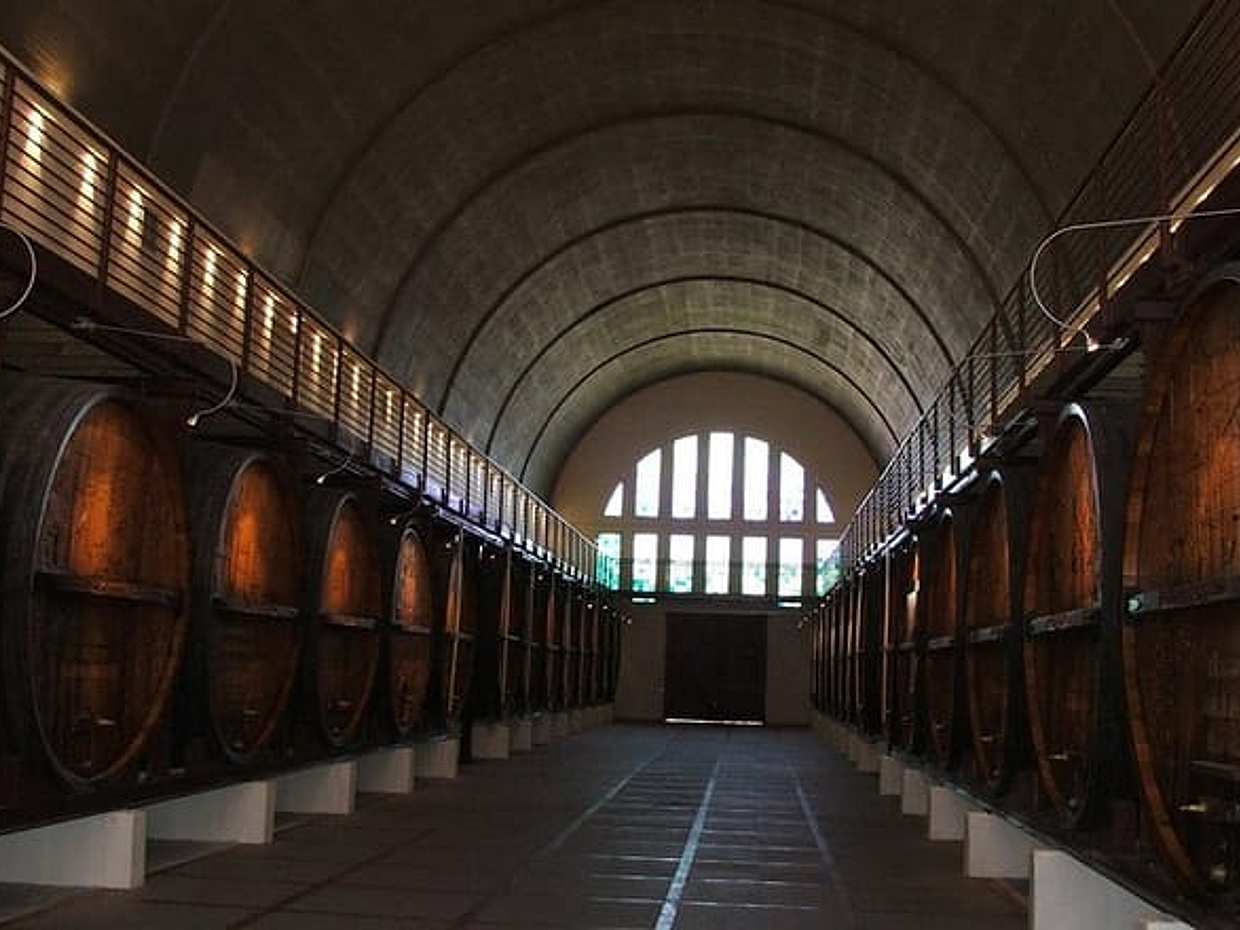 Private Cape Winelands จาก Stellenbosch หรือ Franschhoek หรือ Paarl ในแอฟริกาใต้, เคปทาวน์, photo 2