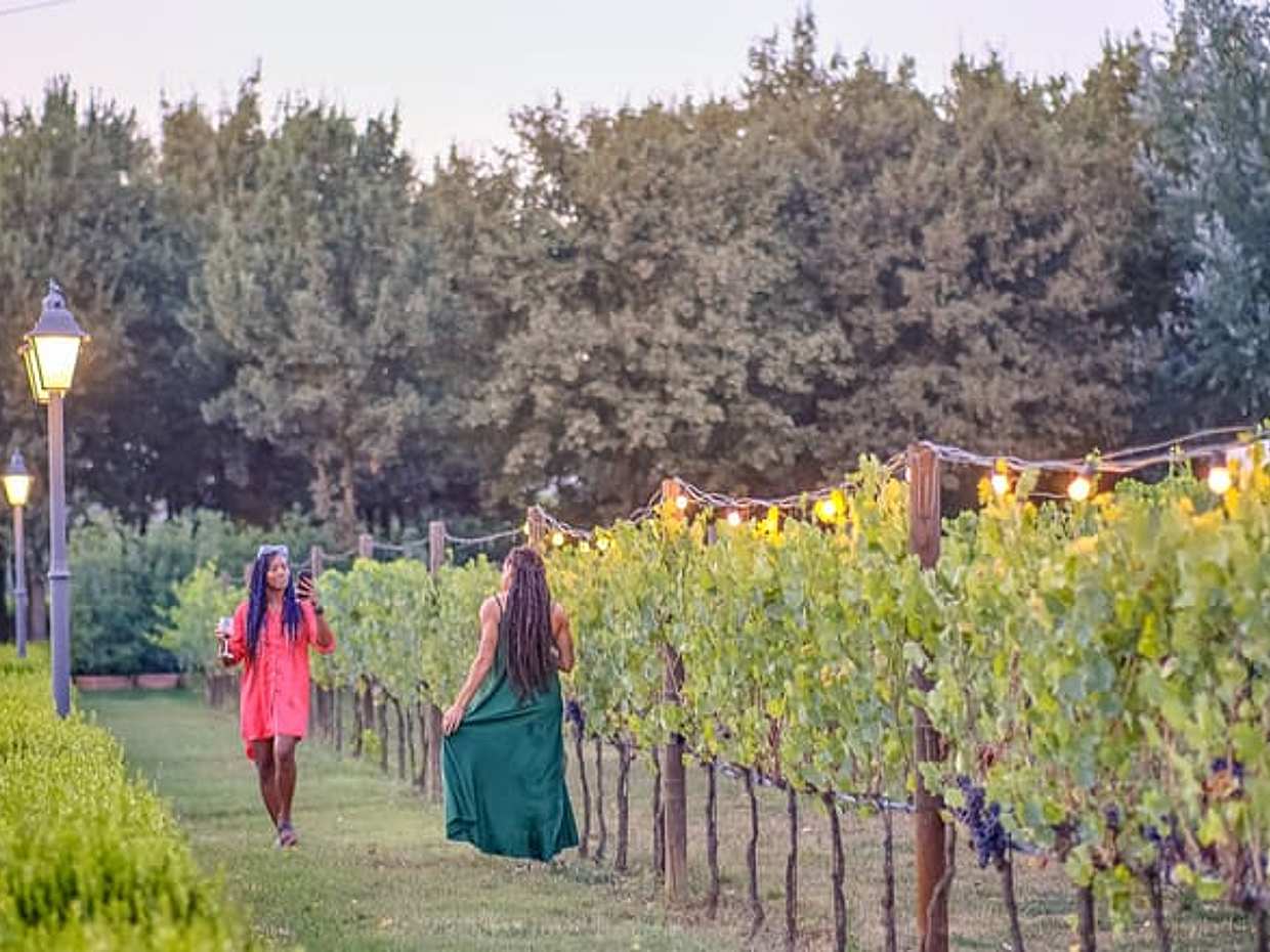 Small-Group Winery Tour with Tasting and Dinner in Chianti