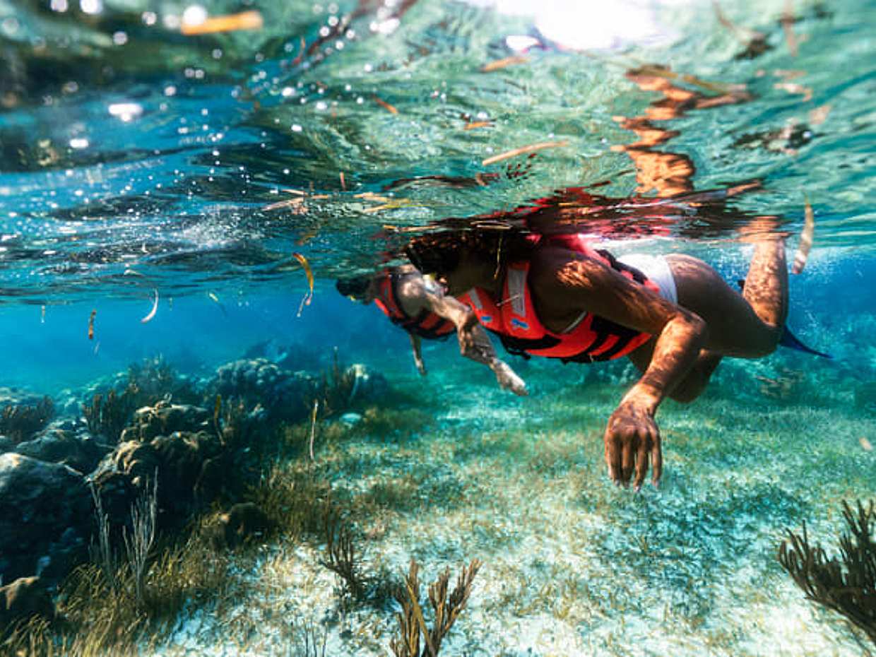 Puerto Morelos Reef Snorkeling Adventure with beachside lunch  in Mexico