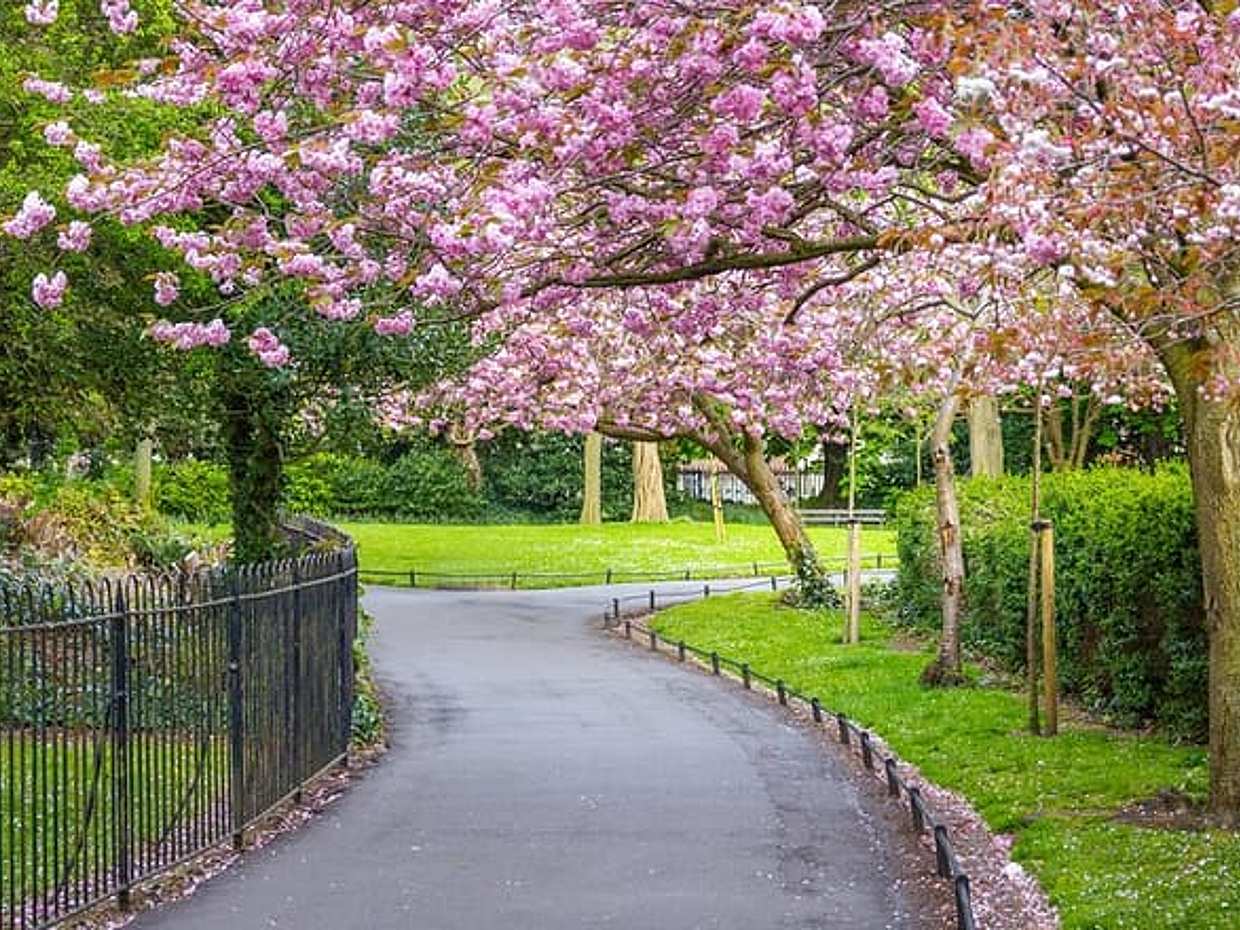 Cupid’s Trail: Romantic Puzzle Quest in Dublin in Ireland, photo 5