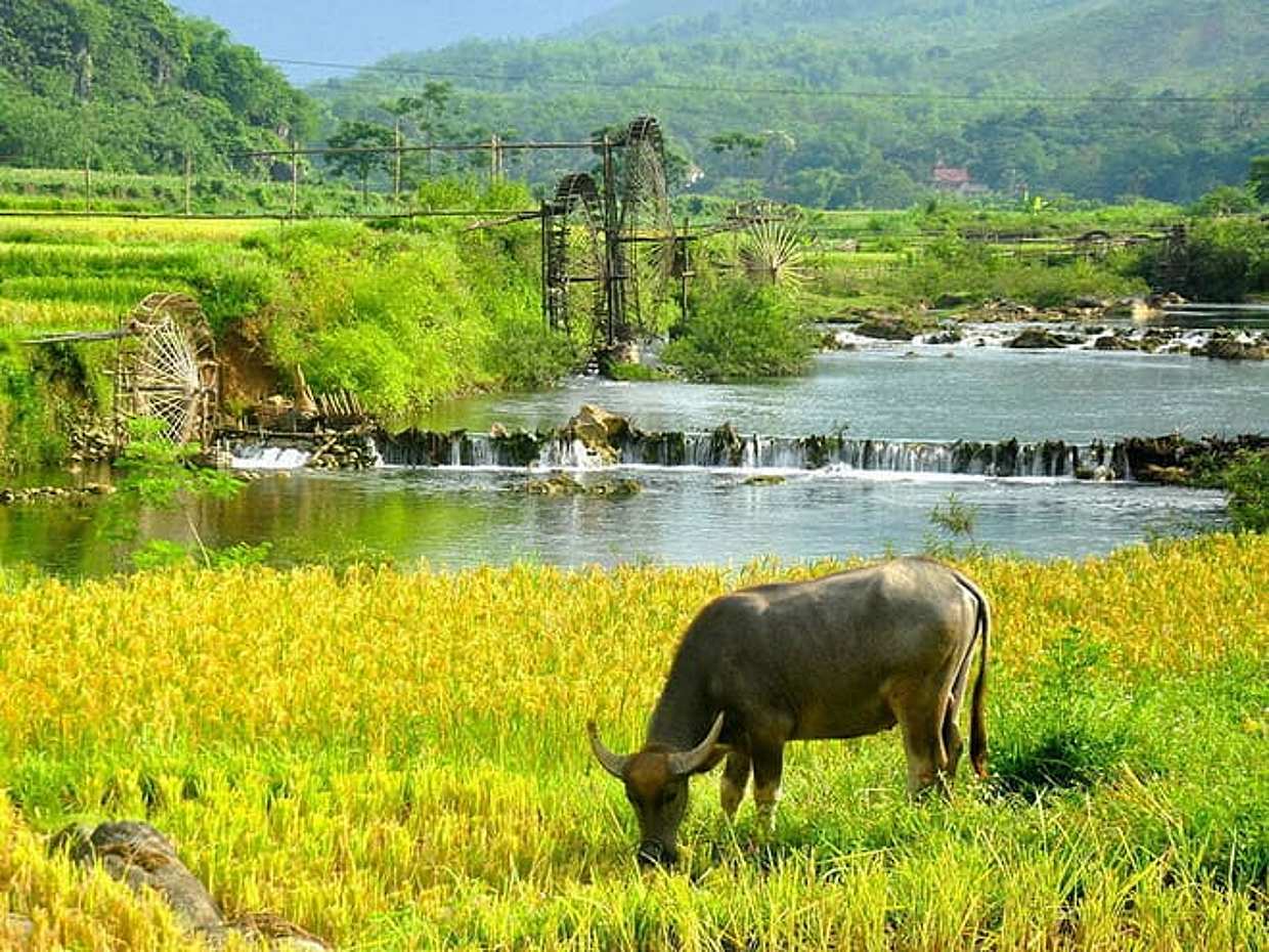 2 Days 1 Night Pu Luong Classic Tour, photo 5