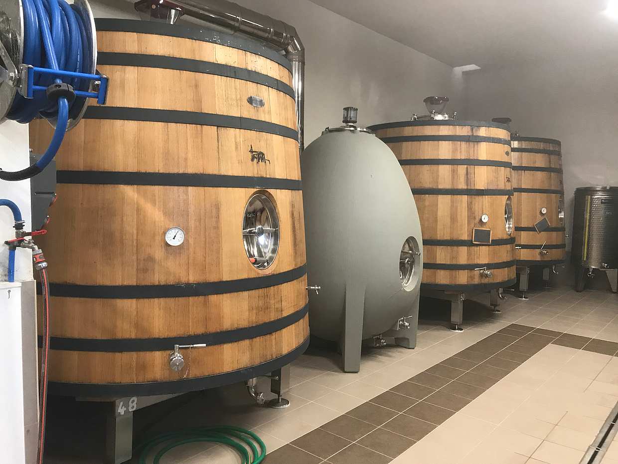 Privater Chianti Halbtagesausflug ab Florenz in Italien, Chianti Tour
, photo 5