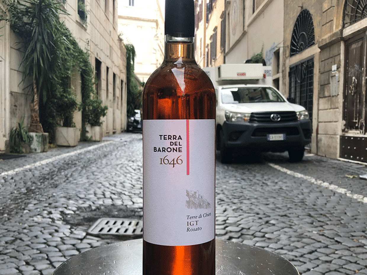 Wines & Vinyl: A Vintage Experience in the Heart of Rome, photo 5