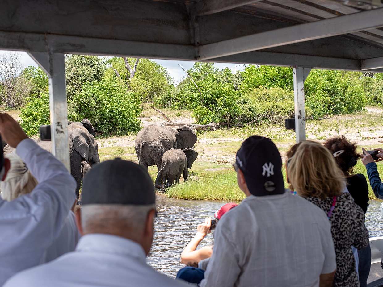 Chobe: Viagem de um dia na Zâmbia, Livingstone.
, photo 5