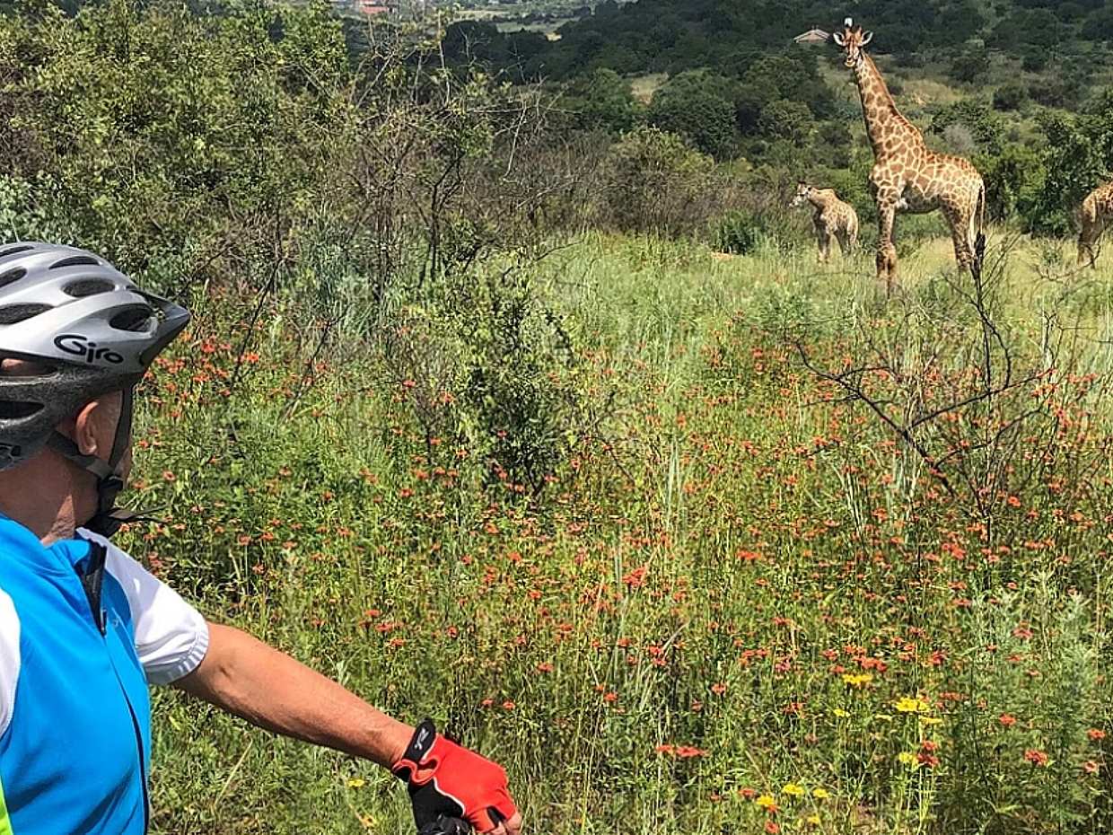 Half Day E-Biking with Wildlife Watching in Pretoria in South Africa, Johannesburg, photo 3