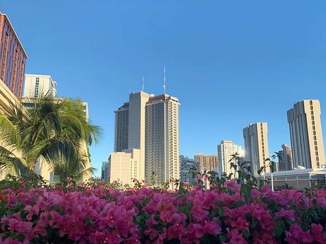 Honolulu Scavenger Hunt & Highlights Self-Guided Walking Tour