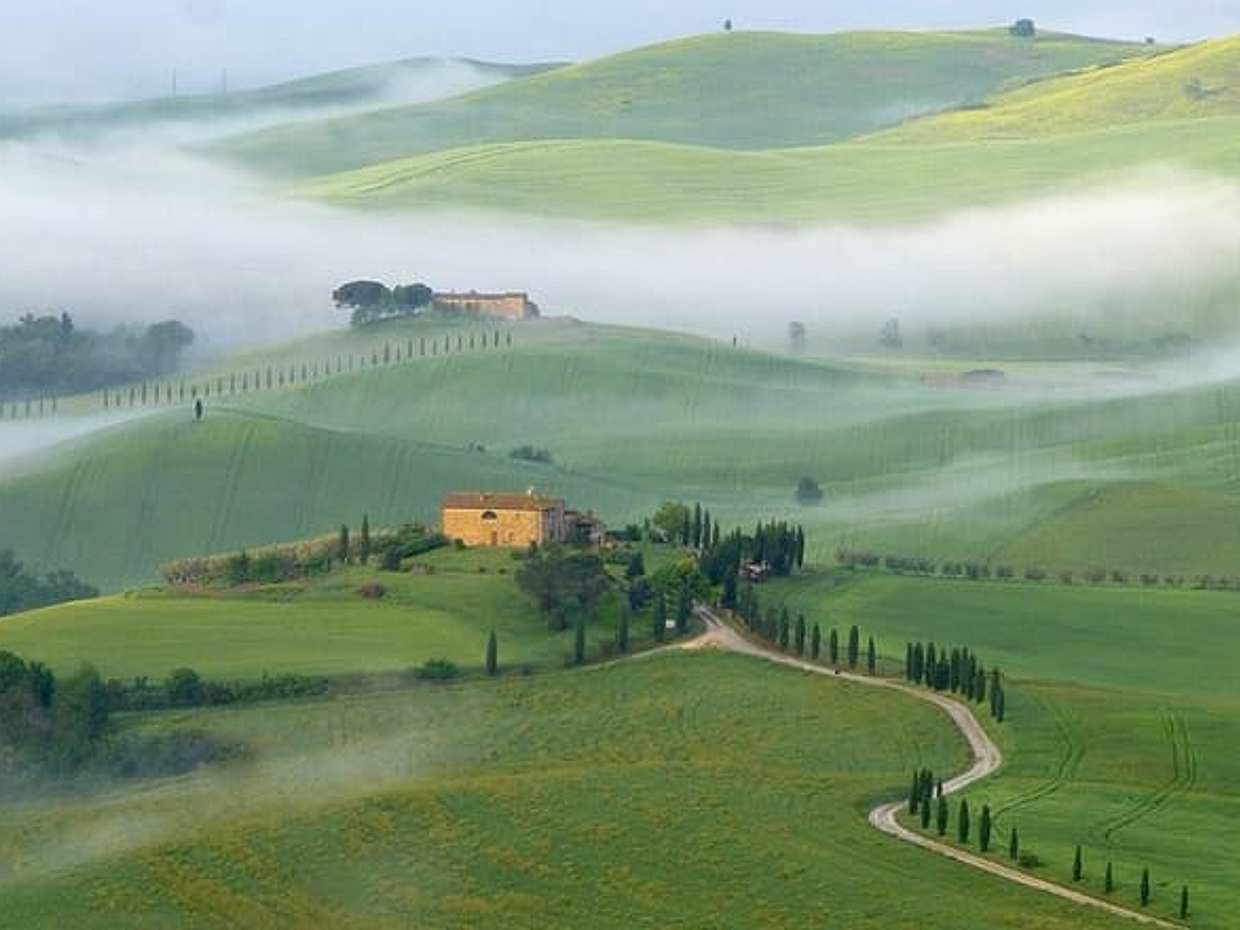 Full Day PRIVATE Guided Tour in Val D'Orcia Region