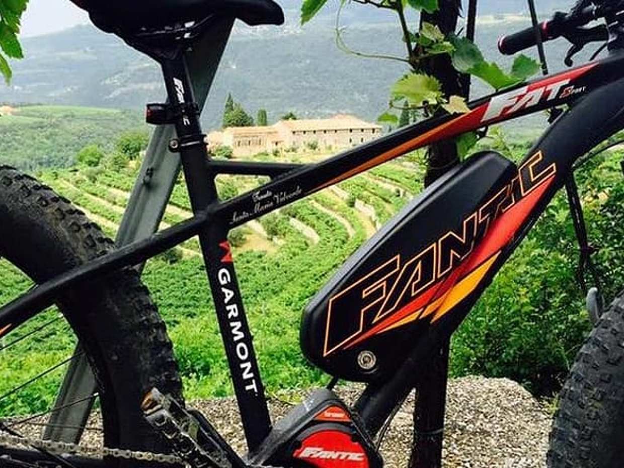 E-bike tour with Amarone tasting, photo 2