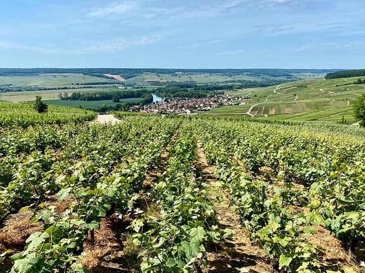 Moet et Chandon Ruinart VIP Cellars & Tastings trip from Paris., photo 2