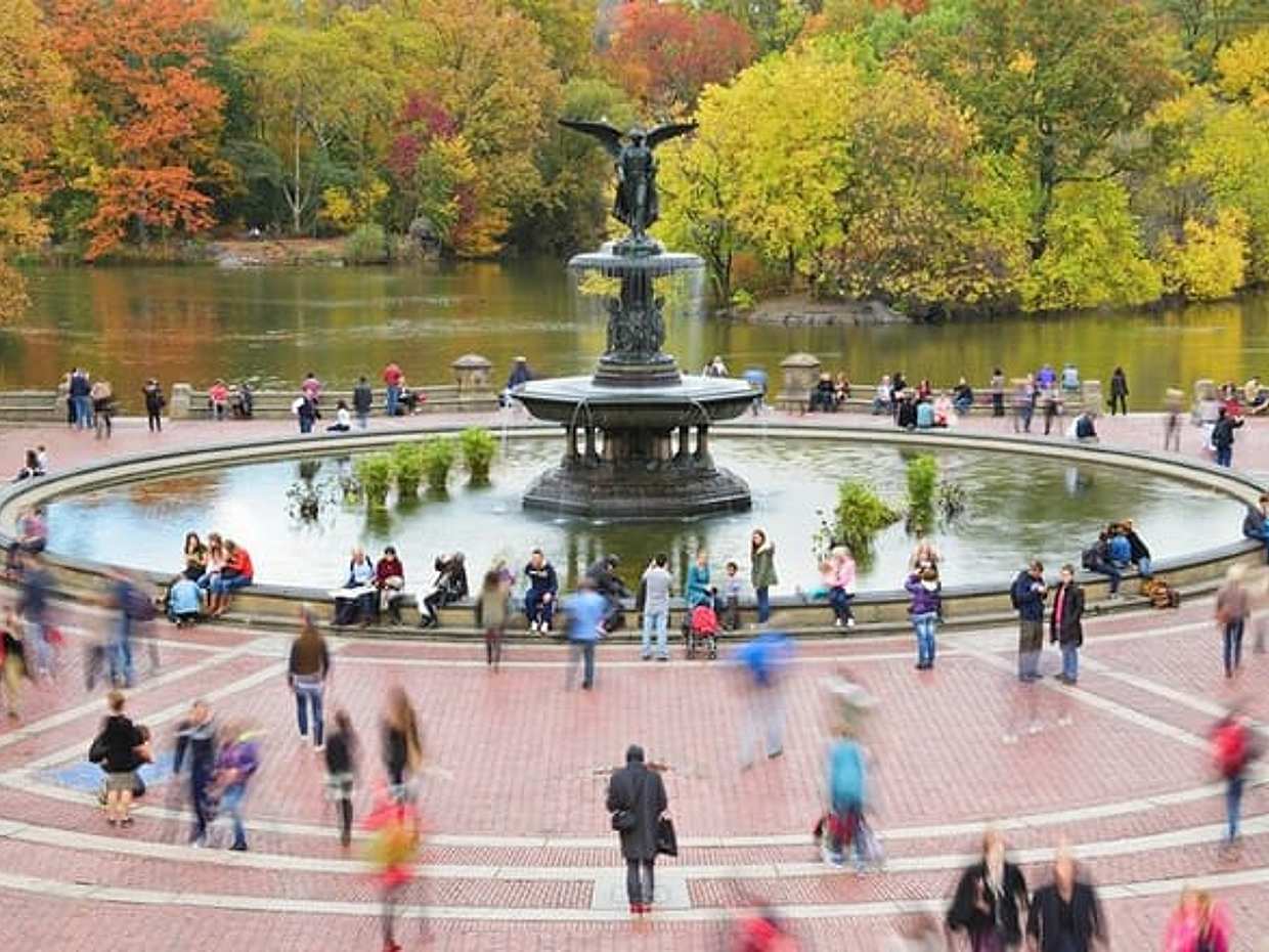 New York City Tour in One Day: Central Park, 911 and Ferry Statue