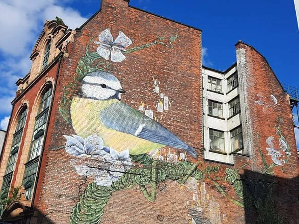 Manchester Street Art: Quest Experience in United Kingdom, photo 2