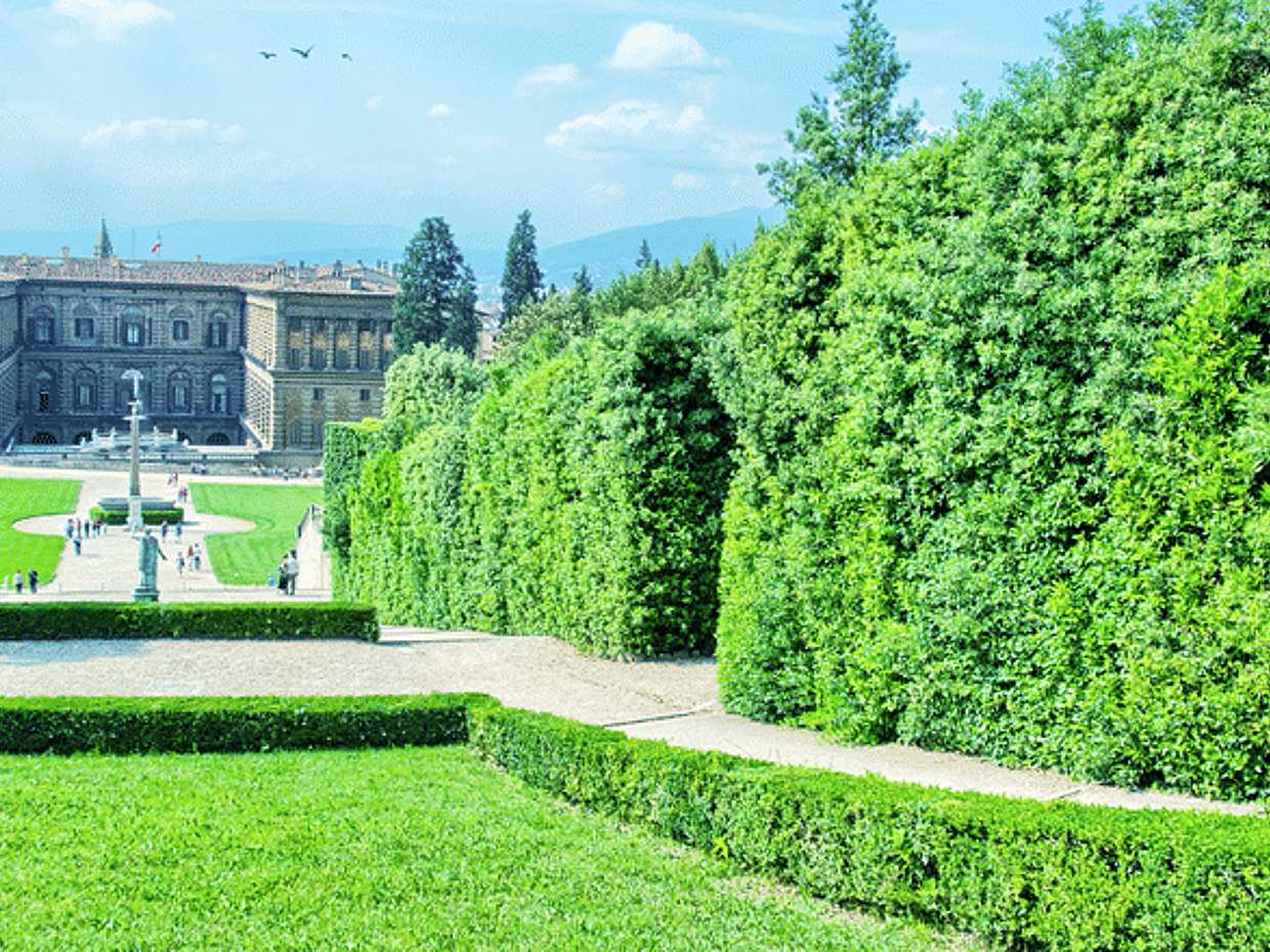 Pitti Palace Private Tour Including Tickets To Boboli Gardens, photo 5