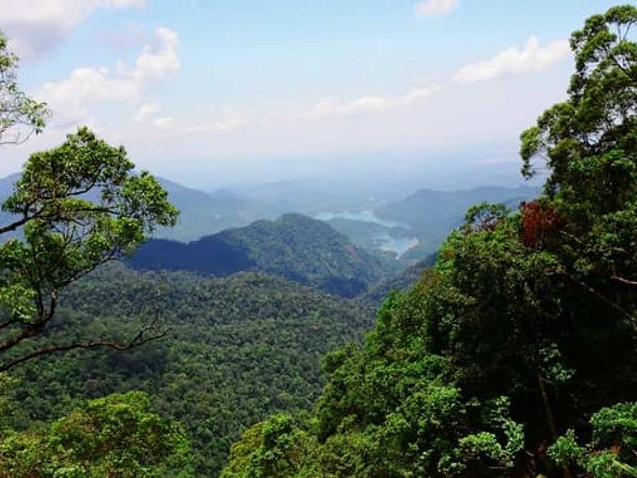 Bach Ma National Park, photo 5