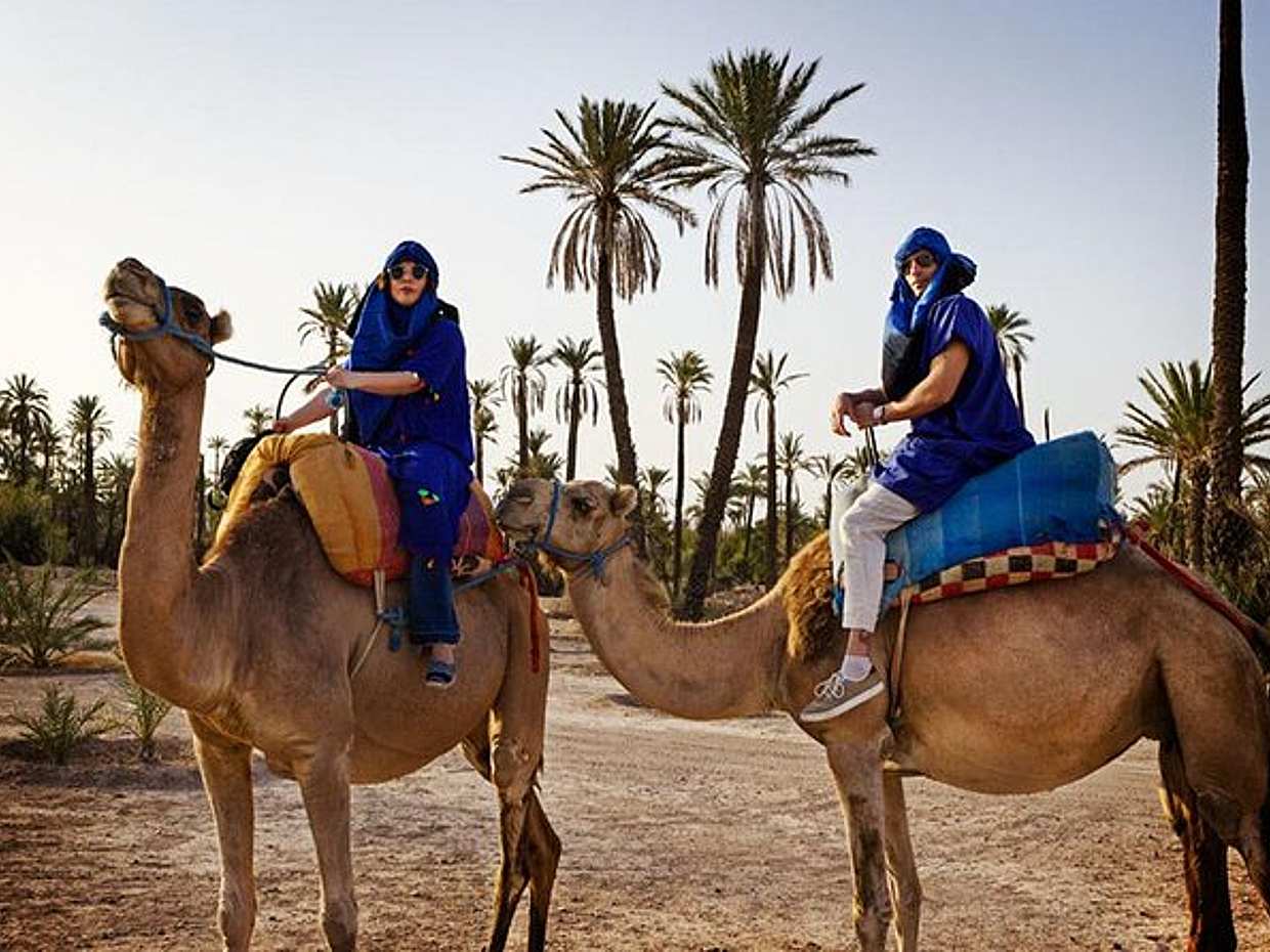 Paseo en camello en el Oasis Palmeral de Marrakech en Marruecos.
, photo 2