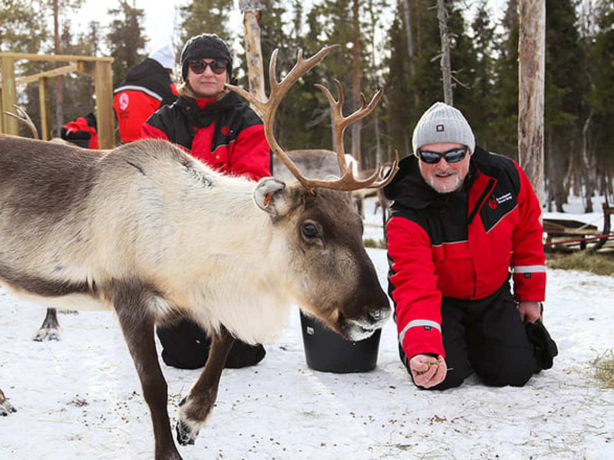 Meet the Reindeer like a local with a snowmobile sled, Levi
