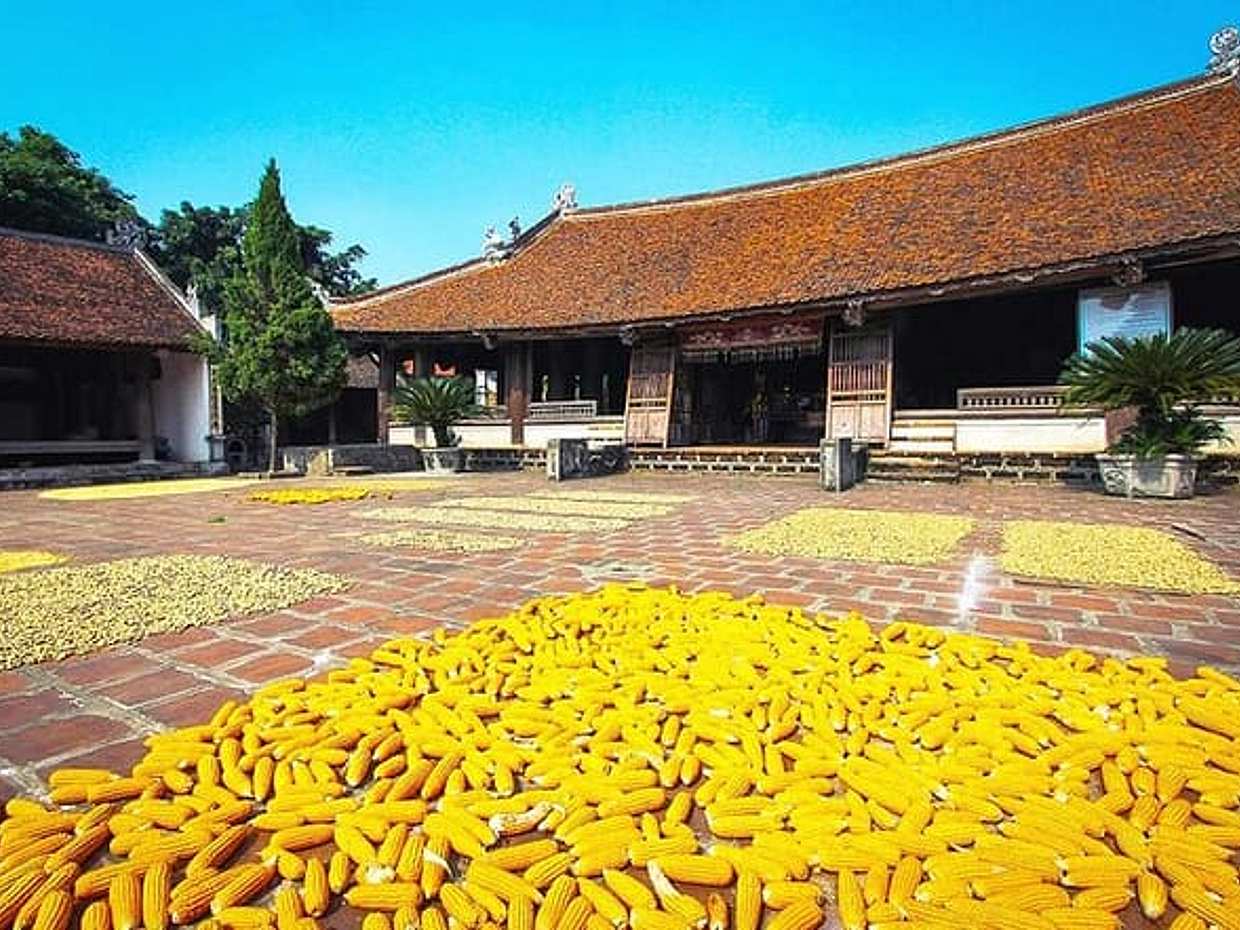 Private Tour Explore Hidden Gems of Duong Lam Ancient Village, photo 3