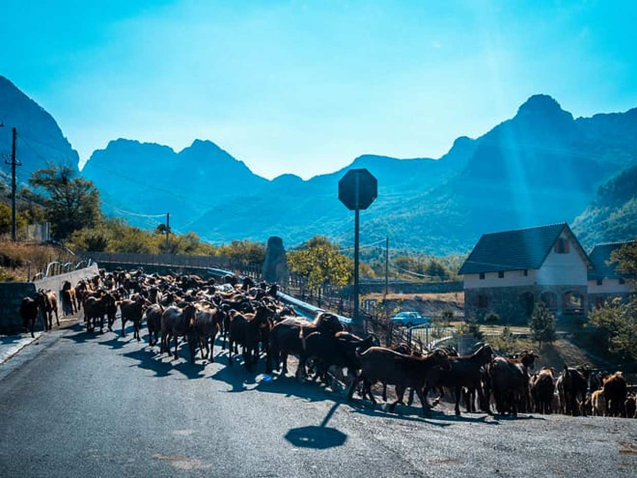 Explore Theth in a Day from Tirana - Albania’s Best Escape, Shkodër County, photo 2