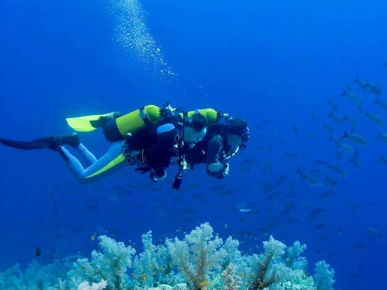 Explore Submerged Treasures: Scuba Diving Experience in Djerba in Tunisia, Djerba Midun, photo 4