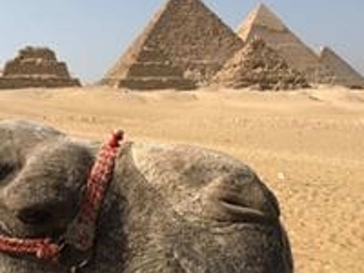 DISCOVER EGYPT,Cairo - Nile Cruise{ASWAN-LUXOR} - Hurghada(09 Days /08 Nights)