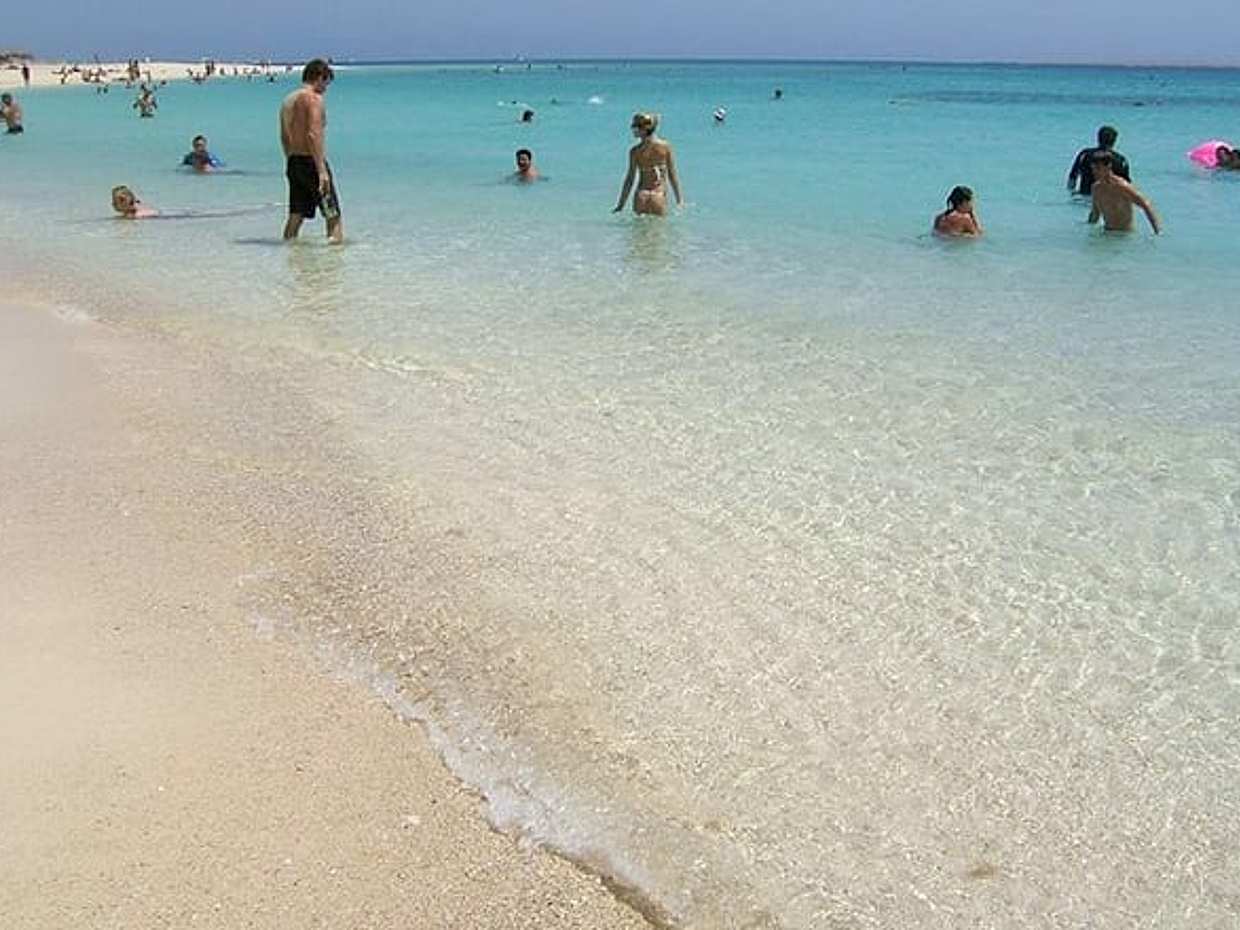 Abu Dabab Bay National Park Swim with Turtles from Hurghada in Egypt