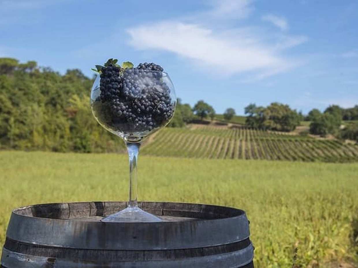 Exclusive Private Tuscan Pinot Noir Experience, Land of Medici Family