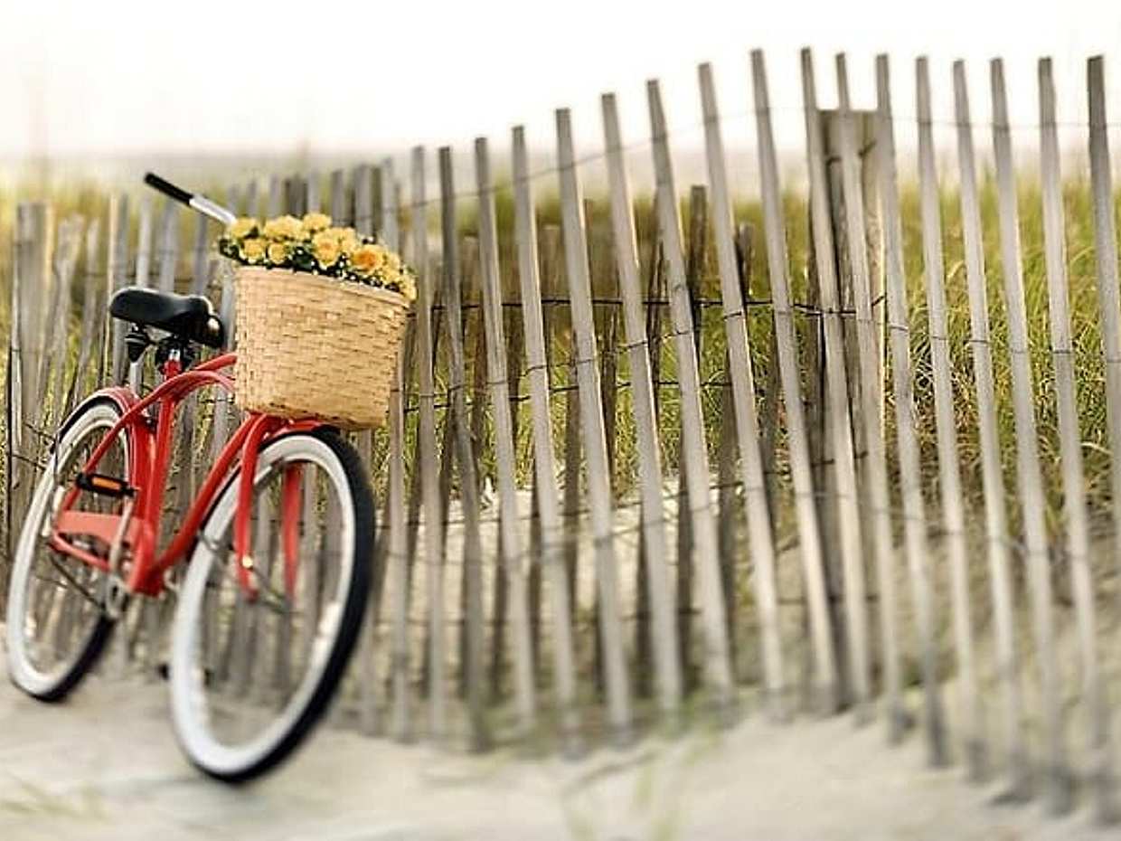 Lido Bike Tour: From Sandy Beaches to Film History