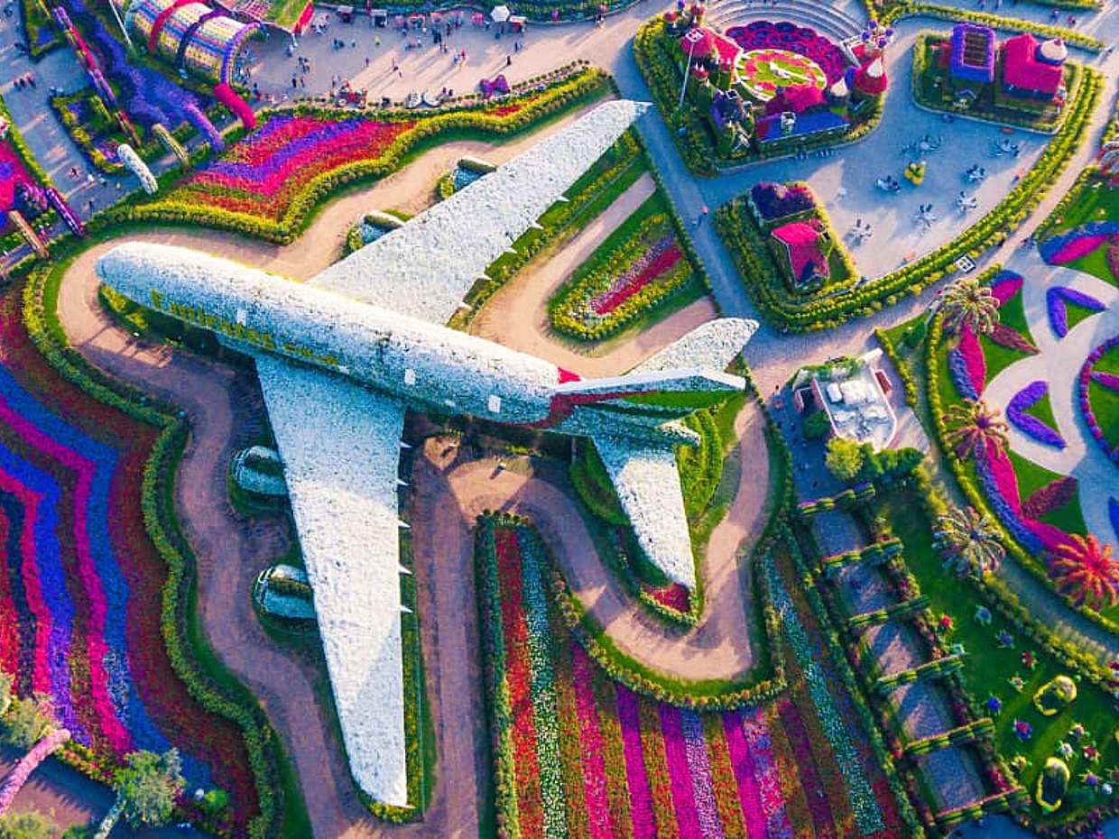 Miracle Garden Admission Tickets in United Arab Emirates, Dubai Miracle Garden, photo 2