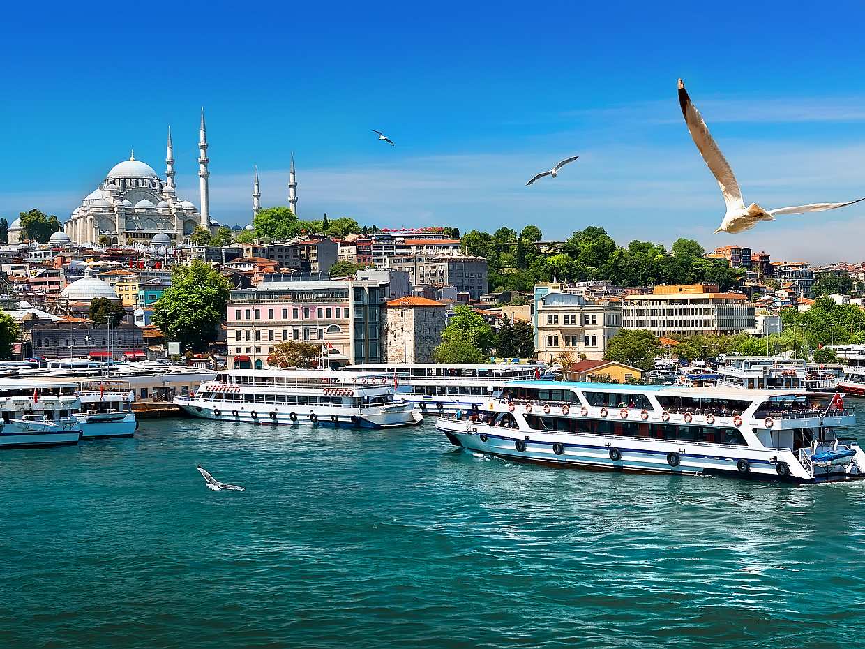Bosphorus Cruise and Beylerbeyi Palace Tour in Istanbul, Türkiye