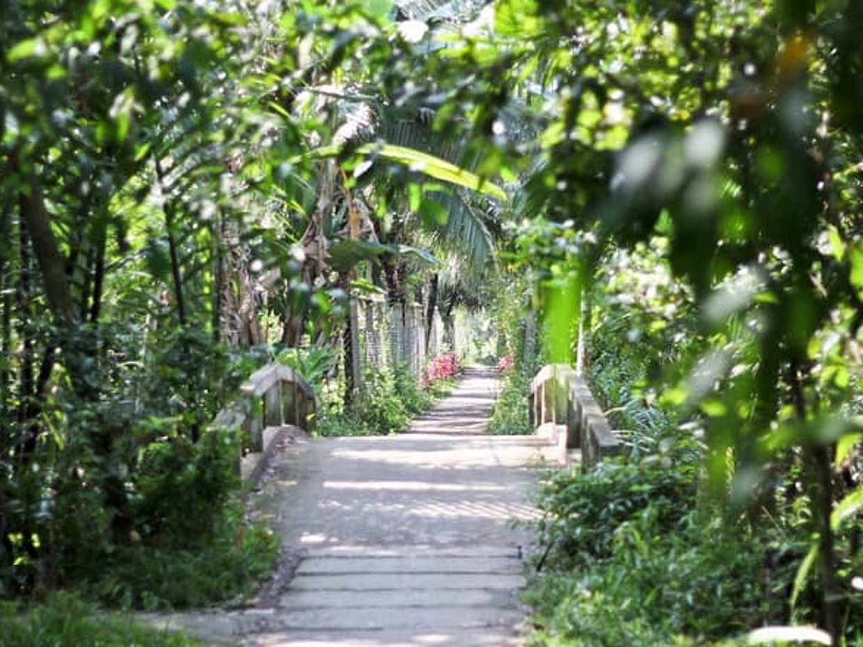 2-Day Discover Mekong Delta Deluxe Tour, photo 4