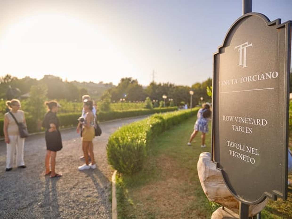Chianti Delights: A Tale Of Two Wineries With A Vineyard Dinner, photo 4