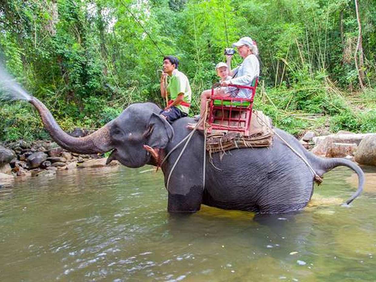 Phuket: 5 km Wildwasser-Rafting, Zipline und Elefantenreiten in Thailand
, photo 2