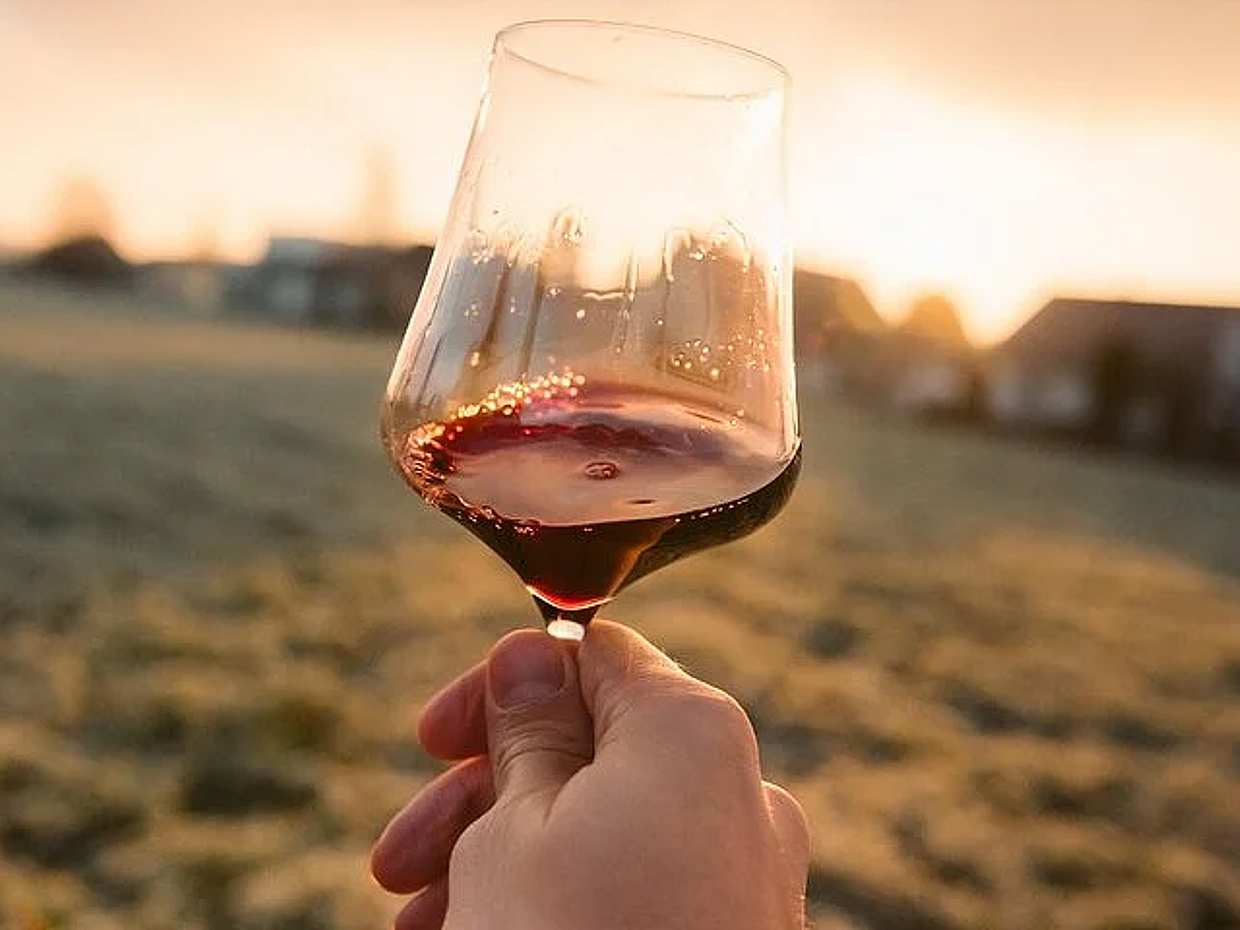 Viagem exclusiva do dia Chianti Clássico de Florença, photo 3