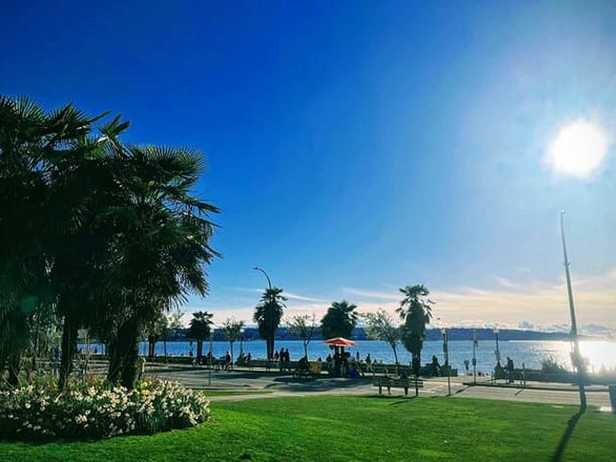Private Vancouver ALL IN ONE Full Day City Tour with 20 Attractions, photo 3