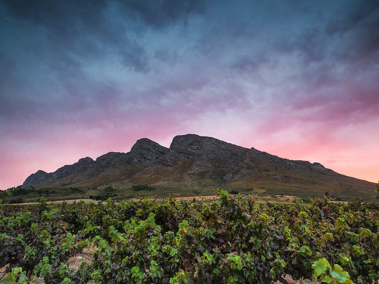 Full-day Ceres and Bainskloof Trike Tour in South Africa, Cape Town, photo 3