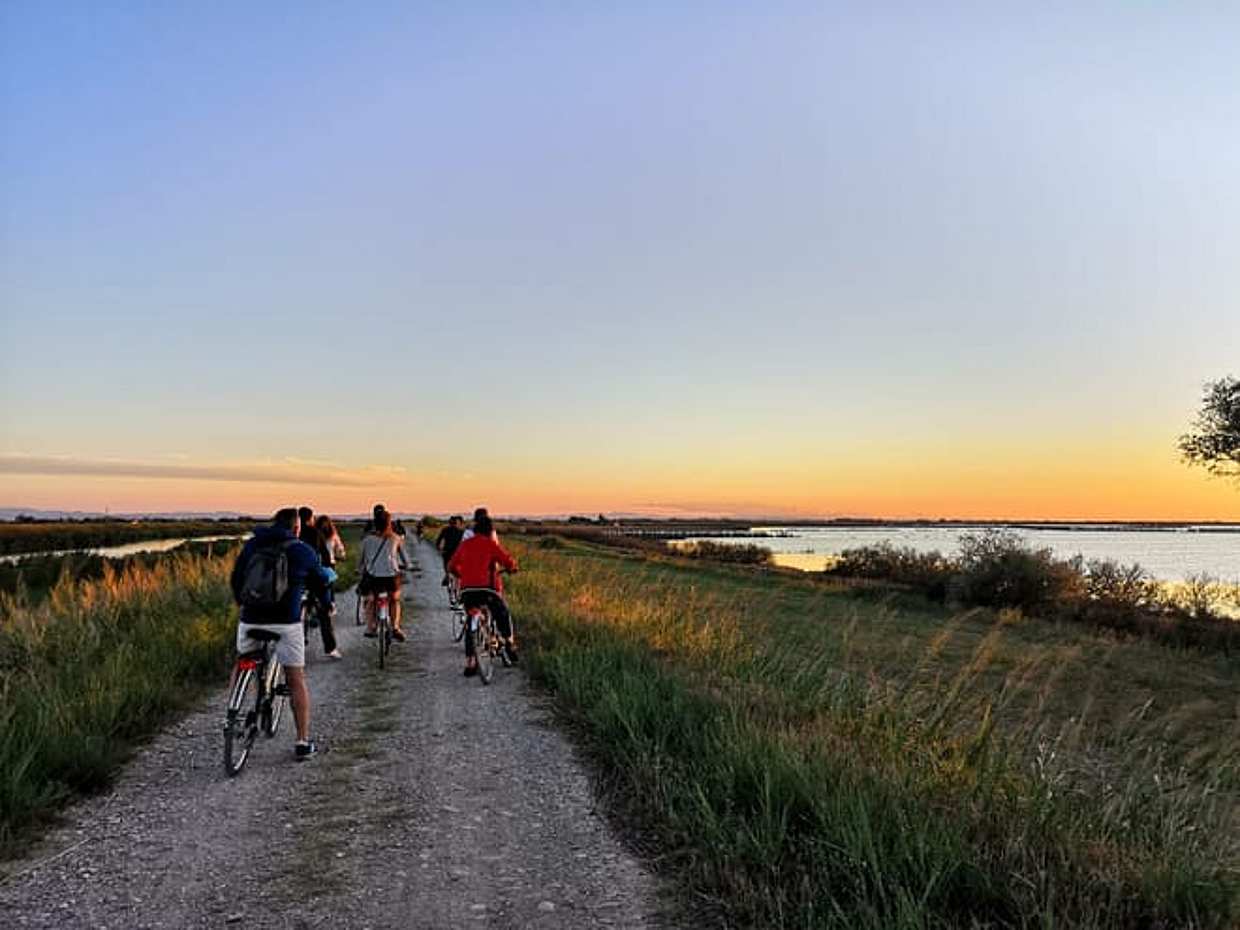 Bike tour in the Comacchio Valleys: admire flamingos at sunset, photo 2