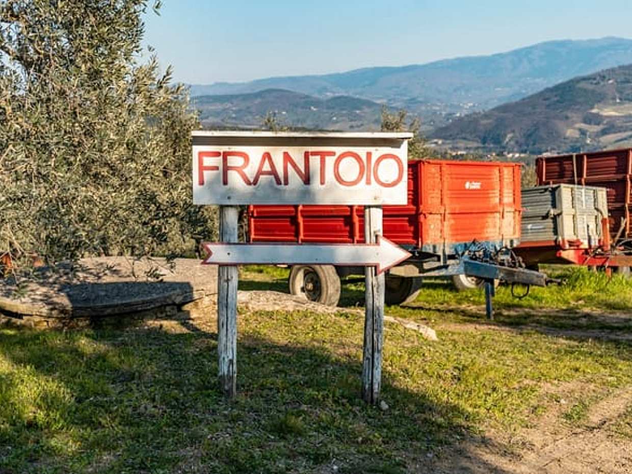 E-Bike Adventure to a Tuscan Village from Florence with Olive Oil Tasting or Pool Access - Small Group Tour, photo 5