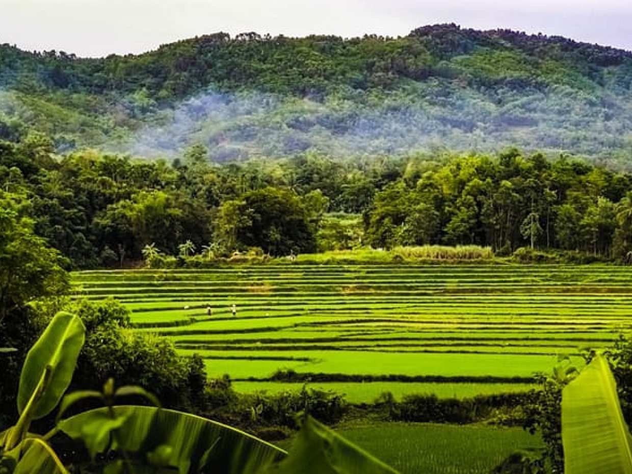 My Son Sanctuary Bike Tour from Hoi An - Lost Civilization in Vietnam, photo 5
