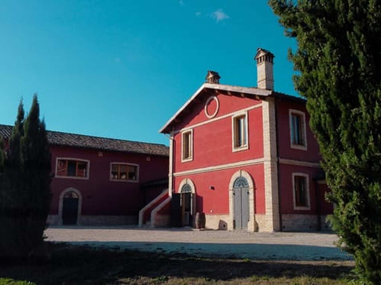 Marche: Tasting and Tour of Local Wines and Tastes at Cantina D'Erasmo, photo 4
