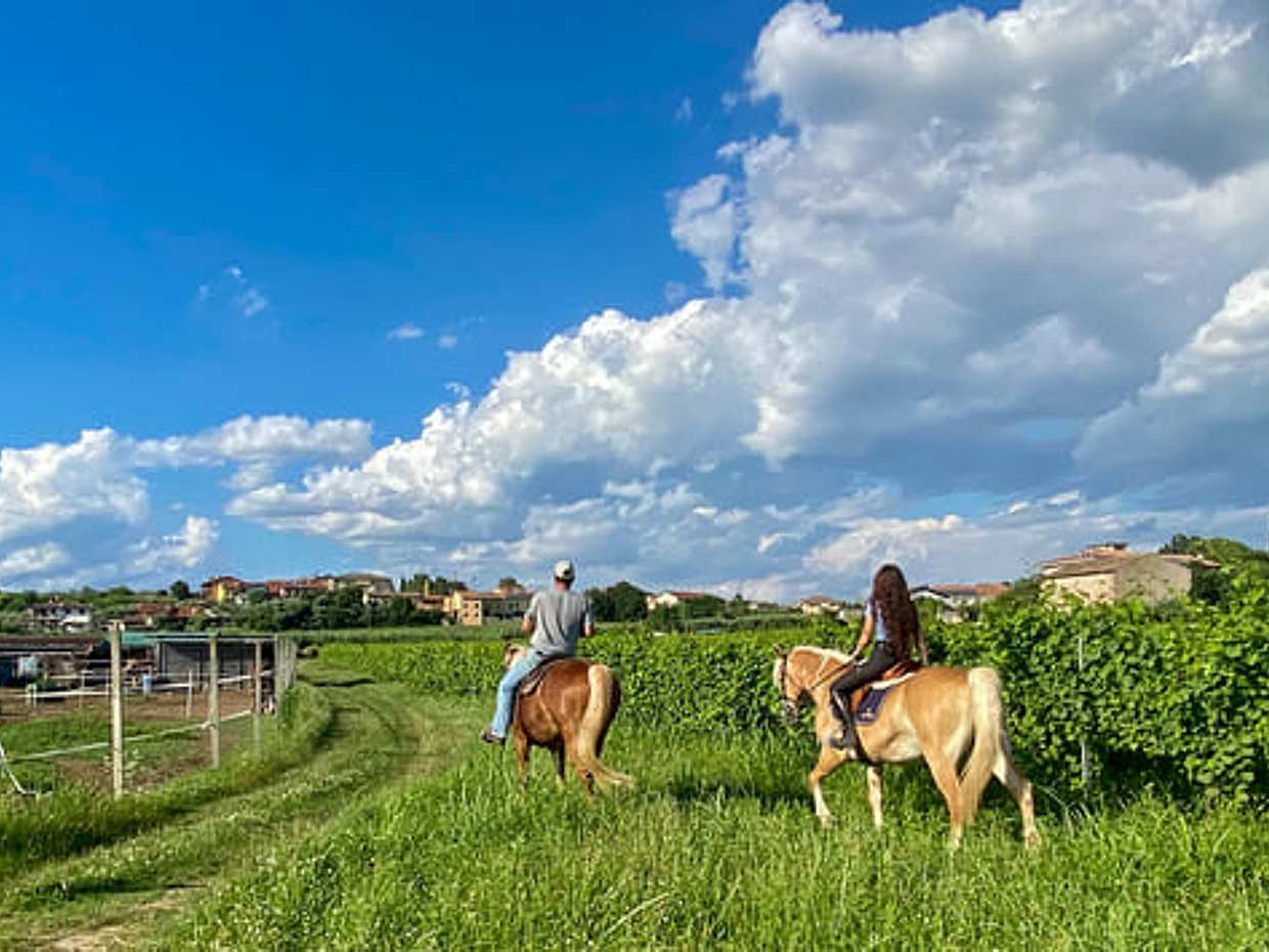 2 hours Horseback Ride in Lake Garda countryside, photo 5