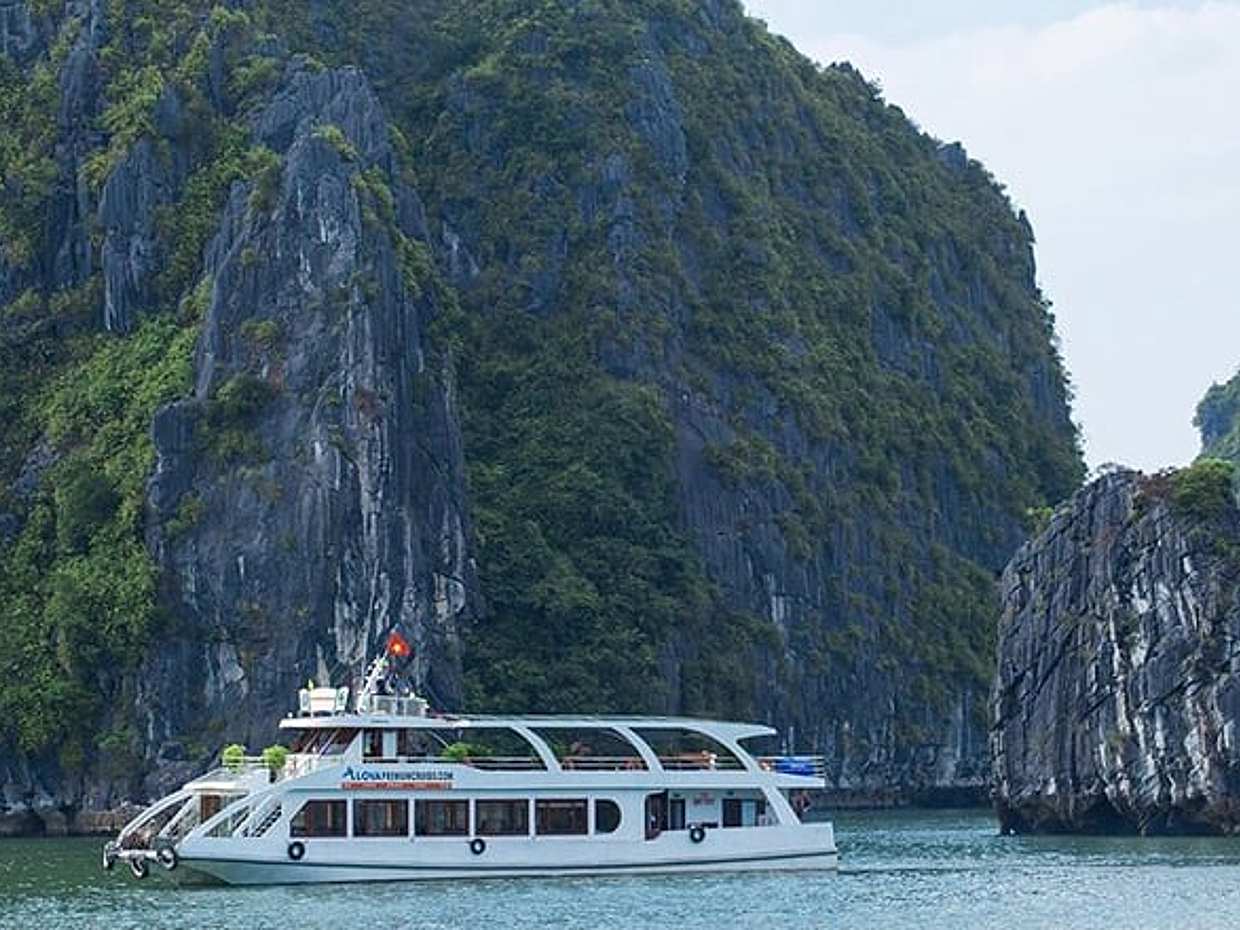 Premium Halong Bay Day Tour: Limousine, Island, Beach and Cave