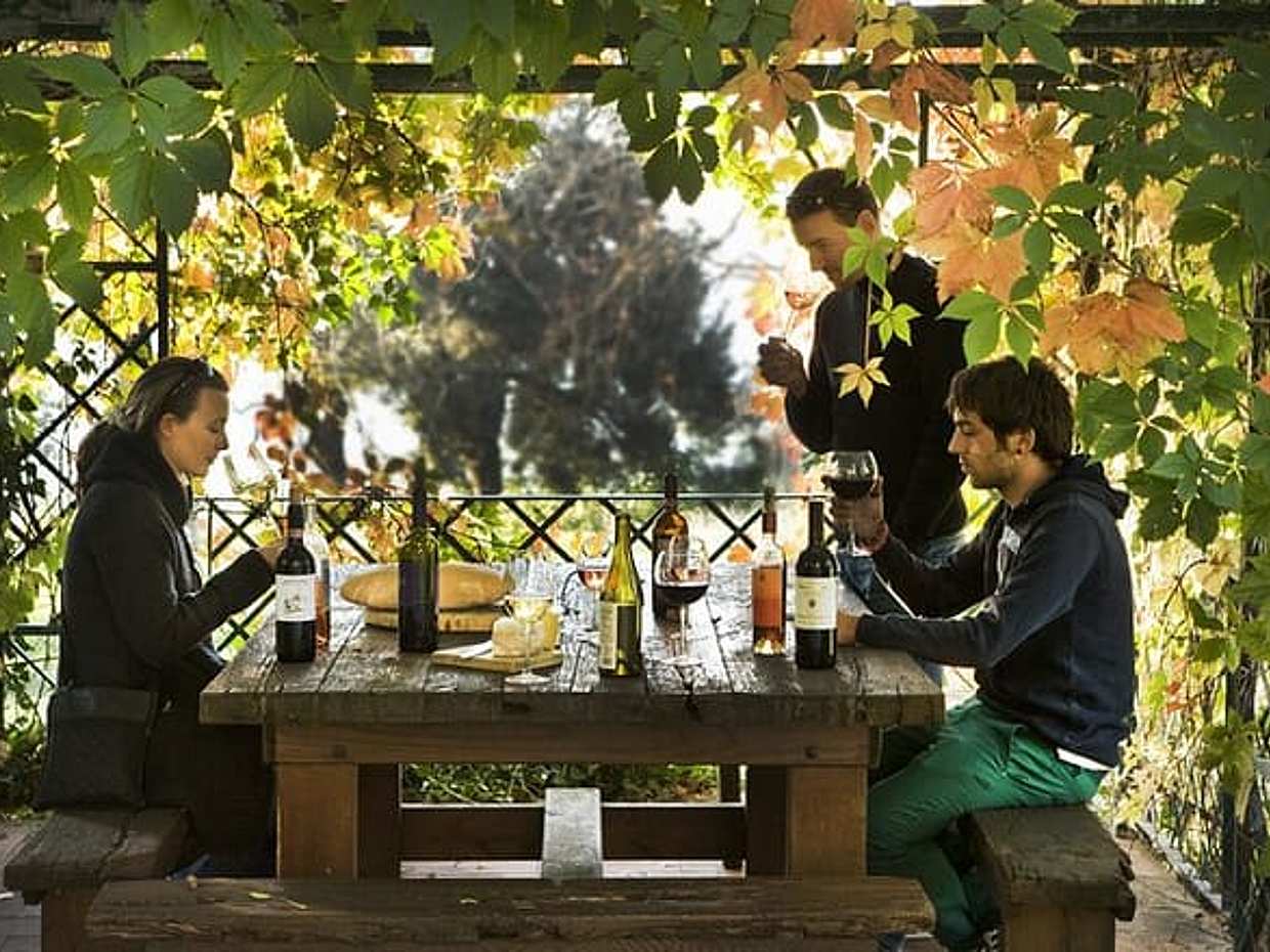 Exclusive Chianti Rufina Half Day Tour with Lunch from Florence