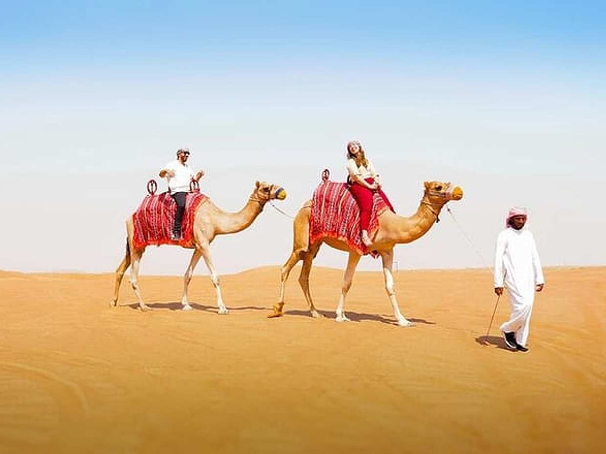 Dubai: Desert Camel Ride with Live Shows & BBQ Buffet Dinner