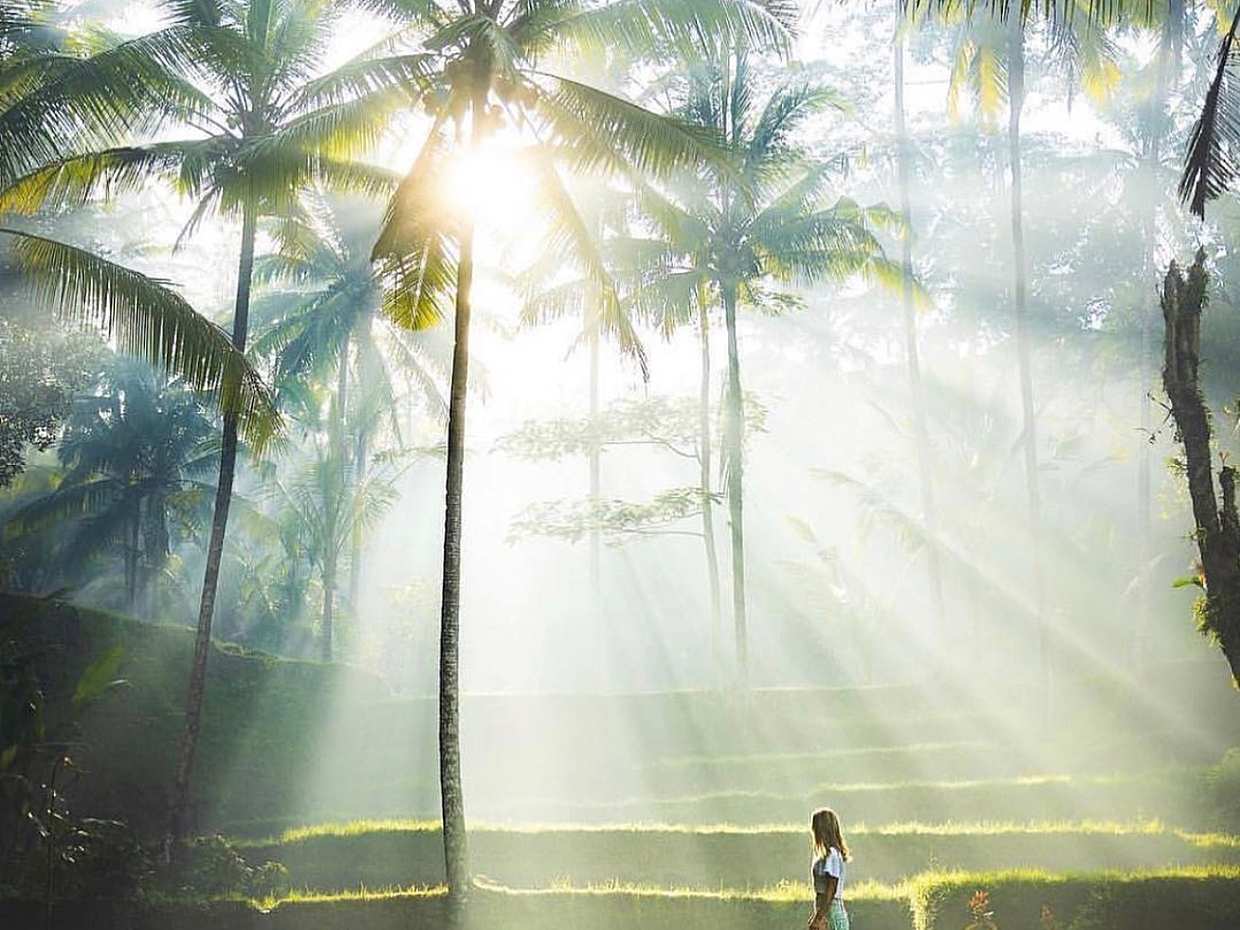 Bali All Inclusive: рисовые террасы Убуда, храмы и вулканы в Индонезии, рисовые террасы Джатилувих
, photo 4